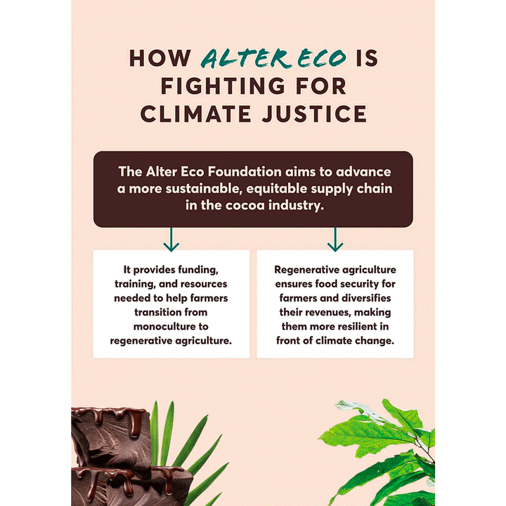 Alter Eco Organic Super Blackout Dark Chocolate Bar (90% Cacao), 75g