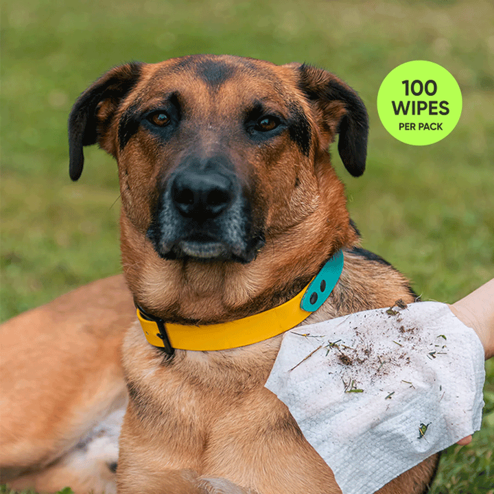Buddy Wipes - Grooming Pet Wipes, 100 Count