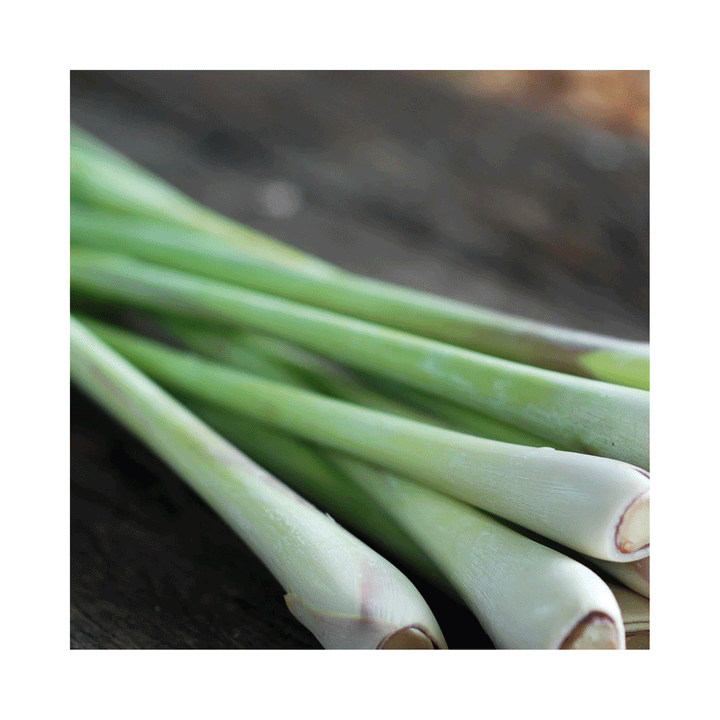 Cha's Organics Lemongrass Stems, 10g