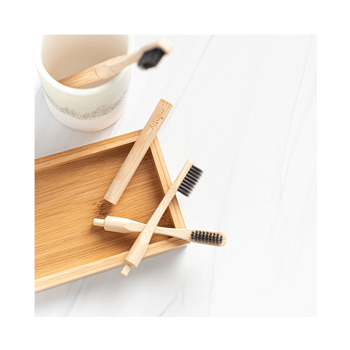 Mintly Eco Toothbrush Replacement Heads, 2-Pack