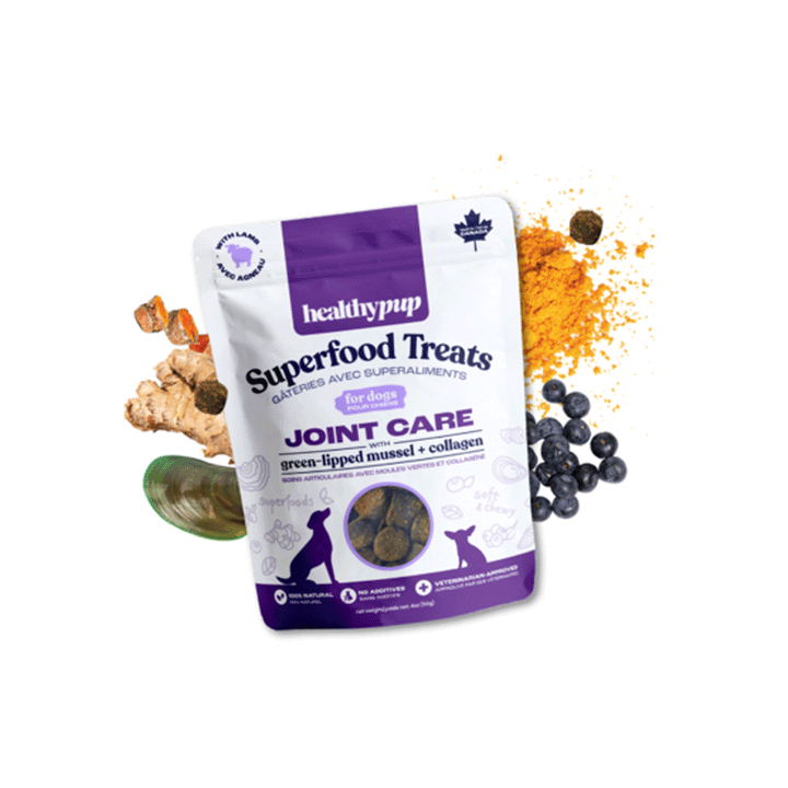 Healthy Pup Superfood Treats For Dogs Joint Care, 113g