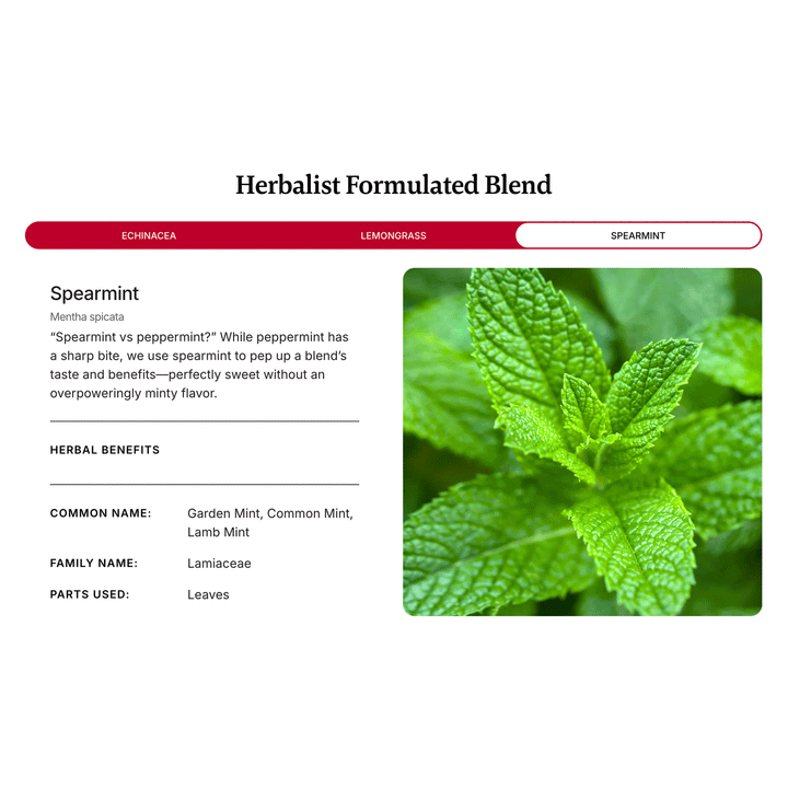 Traditional Medicinals Organic Echinacea Plus Cold Flu Tea, 24g (16 bags)