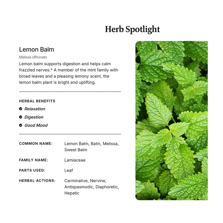 Traditional Medicinals Organic Lemon Balm Herbal Tea, 24g (16 bags)