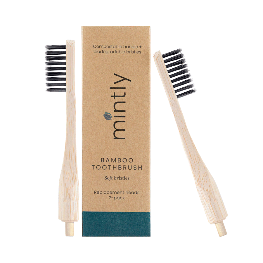 Mintly Eco Toothbrush Replacement Heads, 2-Pack